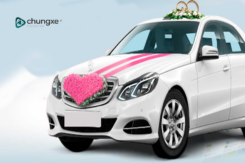 Kinh nghiệm thuê xe hoa tự lái không bị hớ